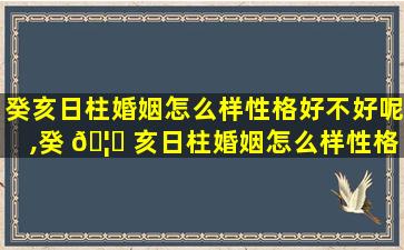 癸亥日柱婚姻怎么样性格好不好呢,癸 🦉 亥日柱婚姻怎么样性格好不好呢女孩